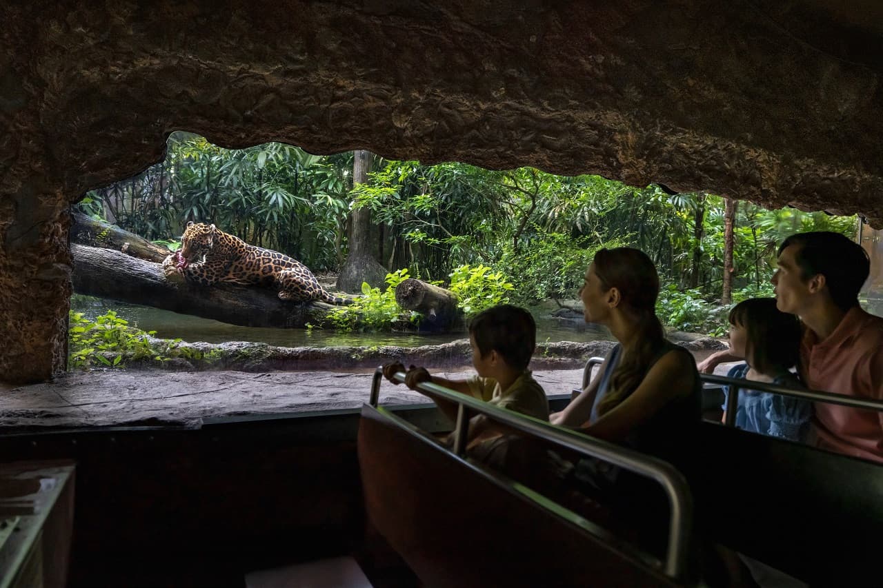 5-in-1 Day Pass: Night Safari + Singapore Zoo + Bird Paradise + River Wonders + Rainforest Adventure - main image