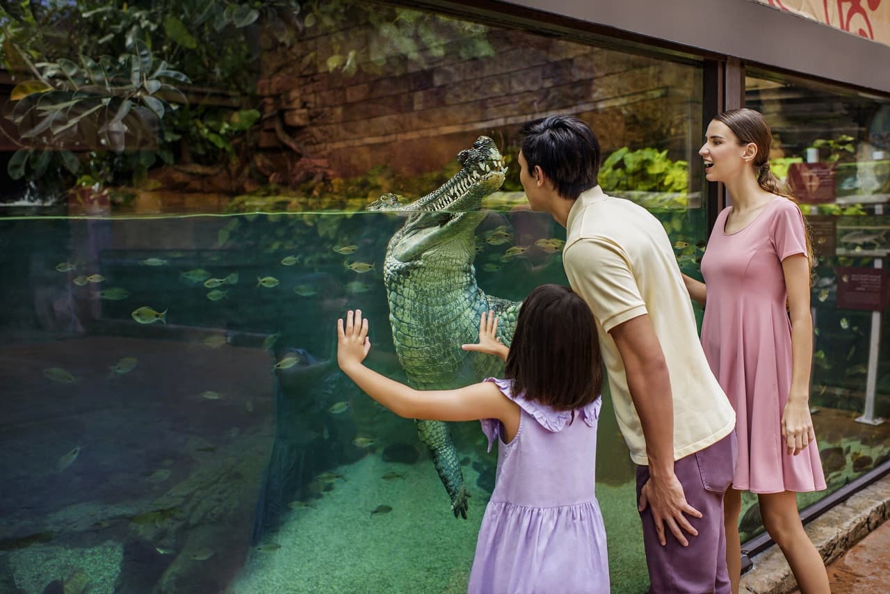 5-in-1 Day Pass: Night Safari + Singapore Zoo + Bird Paradise + River Wonders + Rainforest Adventure - image 5