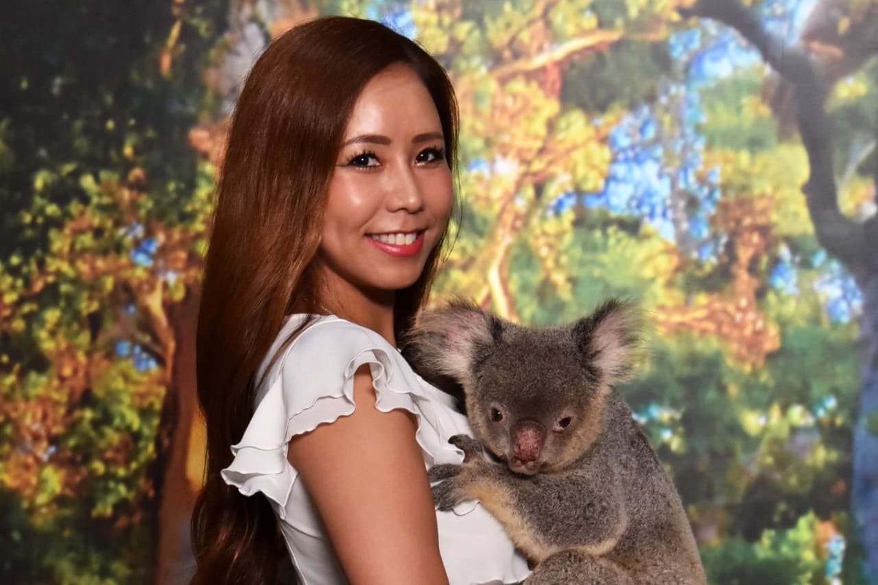 Cairns Koalas and Creatures at the Pier Admission Ticket with 1 Koala Photo - image 2