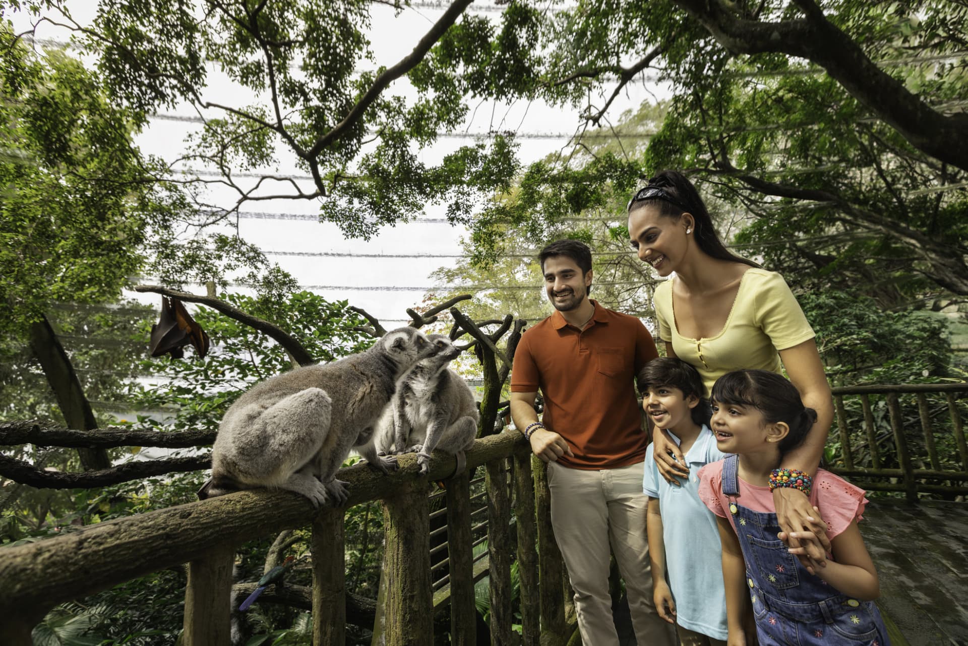 5-in-1 Day Pass: Night Safari + Singapore Zoo + Bird Paradise + River Wonders + Rainforest Adventure - image 8